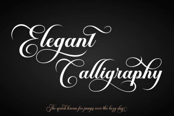Brailganta Script Font Poster 6