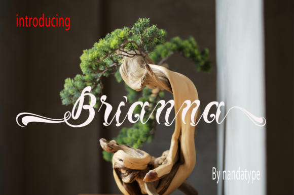 Brianna Font