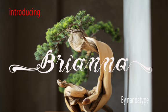 Brianna Font Poster 1