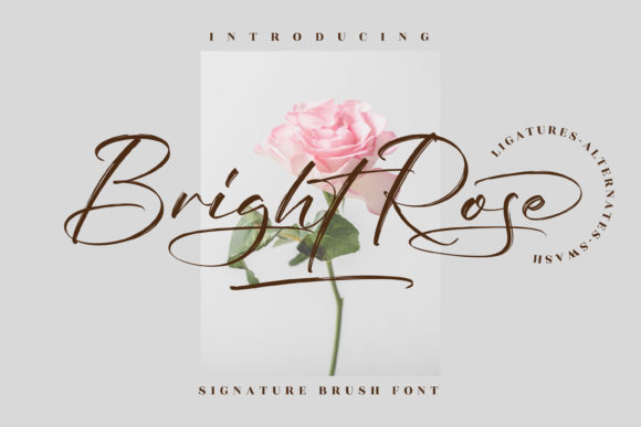 Bright Rose Font Poster 1