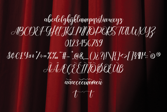 Brightness Font Poster 5