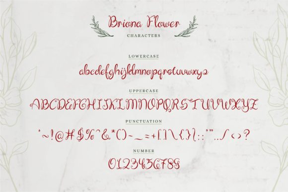 Briona Flower Font Poster 7