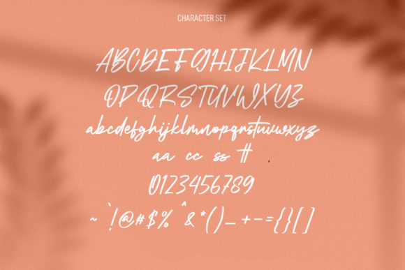 Britsouth Font Poster 8