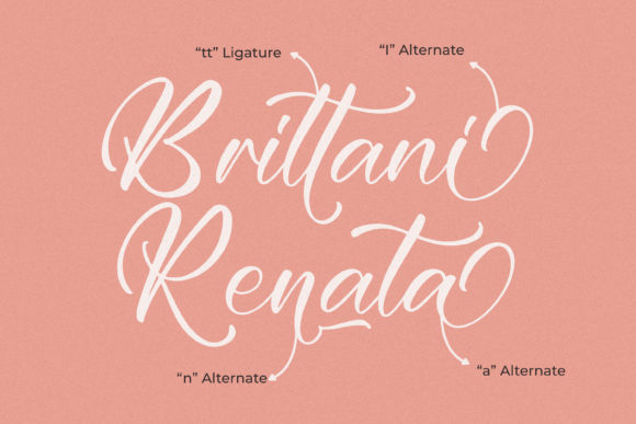 Brittani Renata Font Poster 3