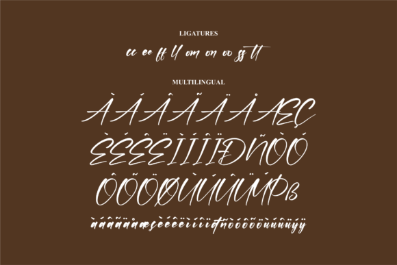 Bronttwen Montesa Font Poster 14