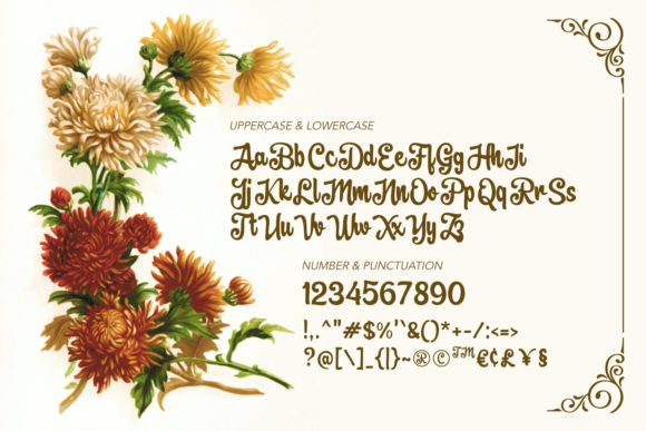 Brownie Fox Font Poster 4