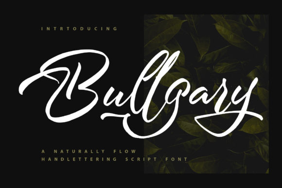 Bullgary Font