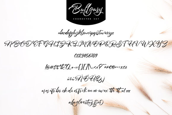 Bullgary Font Poster 5