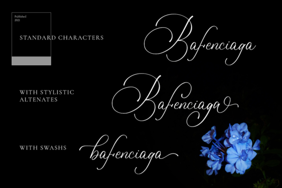 Bulvaryante Font Poster 7