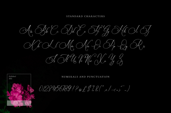 Bulvaryante Font Poster 8
