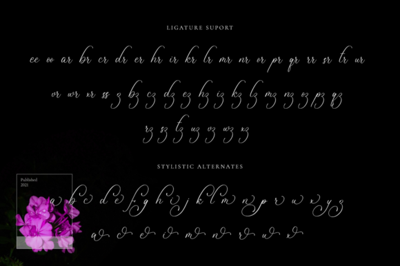 Bulvaryante Font Poster 10