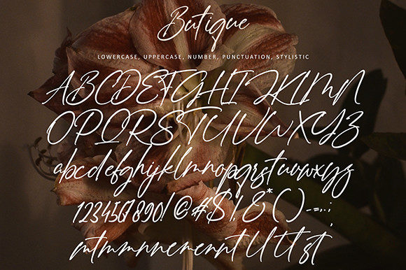Butique Font Poster 9
