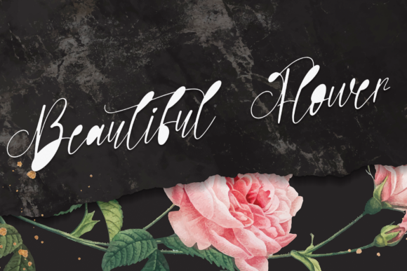 Butterfly Font Poster 2