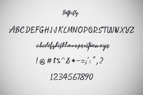 Butterfly Story Font Poster 6