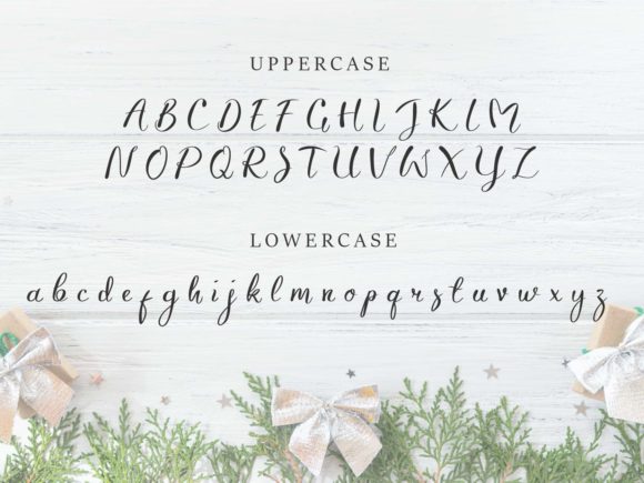 Butterun Minnie Font Poster 6