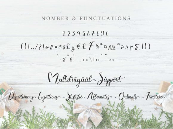 Butterun Minnie Font Poster 7