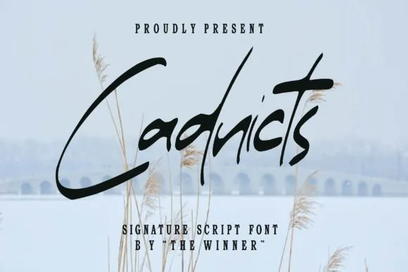 Cadnicts Font Cadnicts Font Poster 1