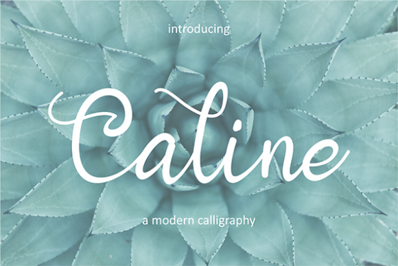 Caline Font