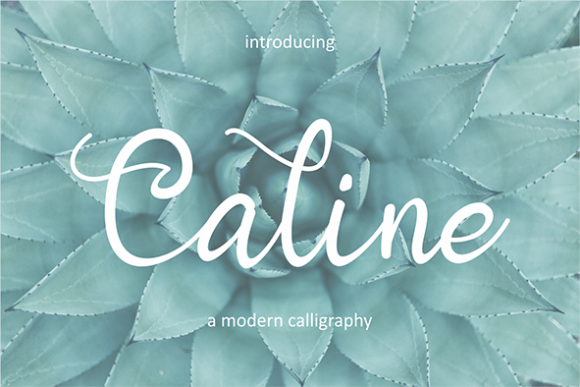 Caline Font Poster 1