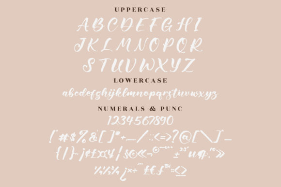 Calistelo Delisha Font Poster 13
