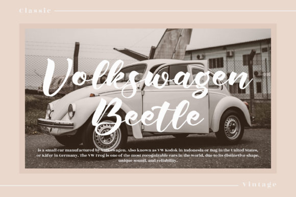 Calistelo Delisha Font Poster 6