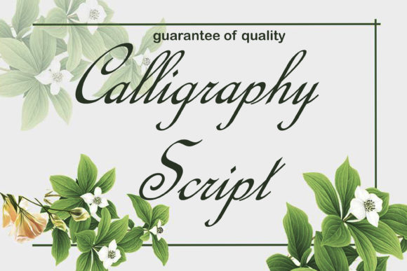Calligraphy Script Font Poster 1