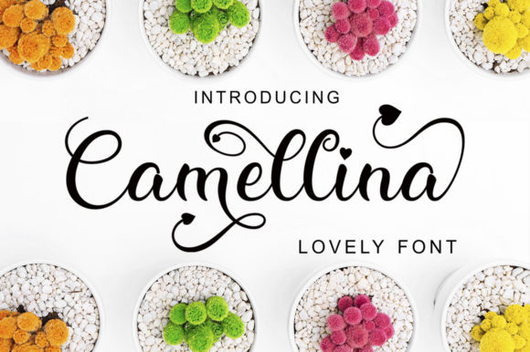 Camellina Script Font Poster 1