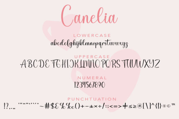 Canelia Font Poster 5