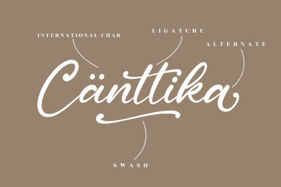 Cantika Sarah Font Poster 12