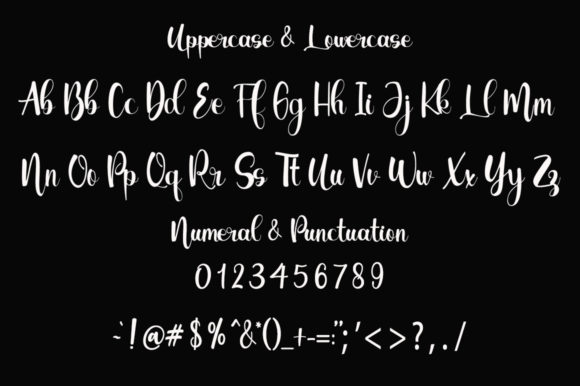 Carenina Font Poster 3