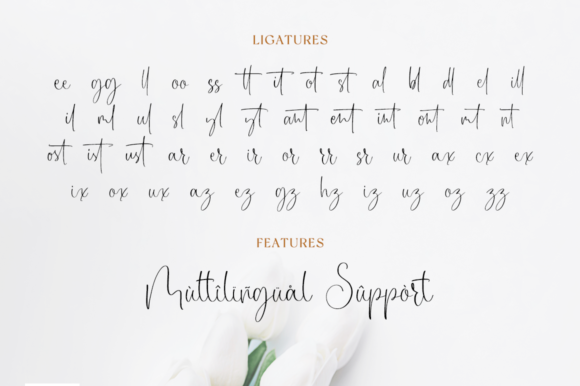 Caristian Font Poster 11