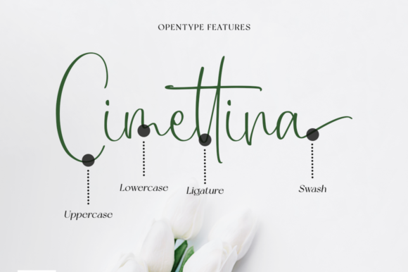 Caristian Font Poster 8