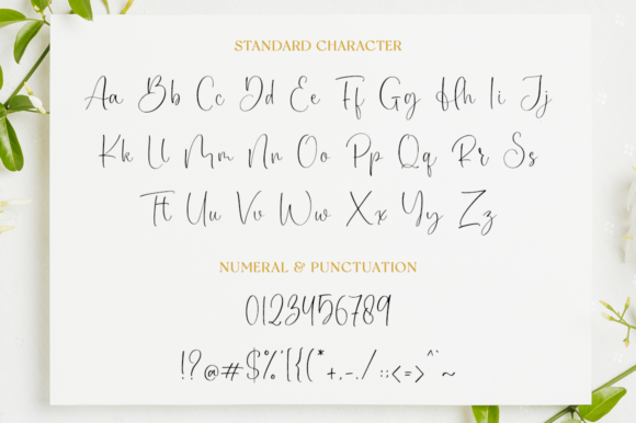Caristian Font Poster 9