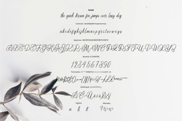 Carllote Font Poster 6