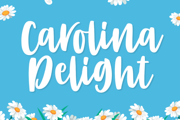 Carolina Delight Font Poster 1