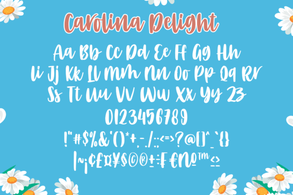Carolina Delight Font Poster 2