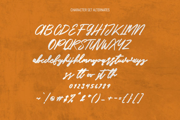 Carputins Signature Font Poster 9