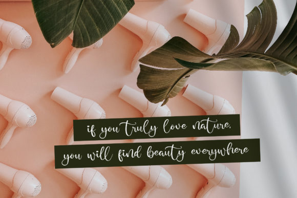 Casandra Belinda Font Poster 8