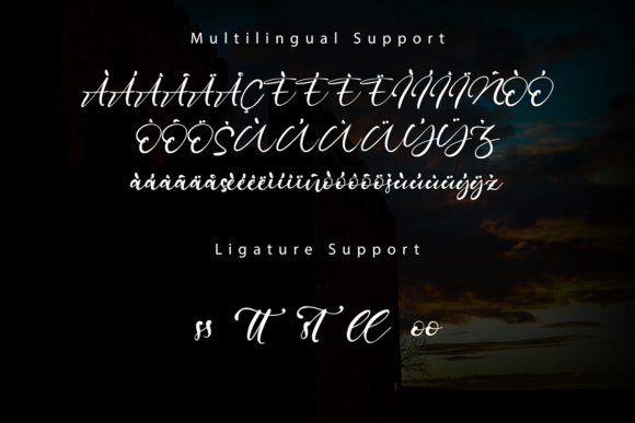 Castillo Font Poster 9