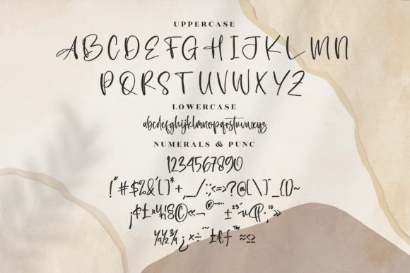 Casttalica Font Poster 13
