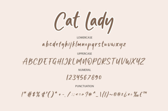 Cat Lady Font Poster 7