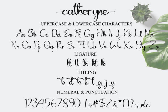 Catheryne Font Poster 7