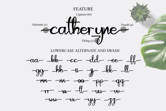 Catheryne Font Poster 8
