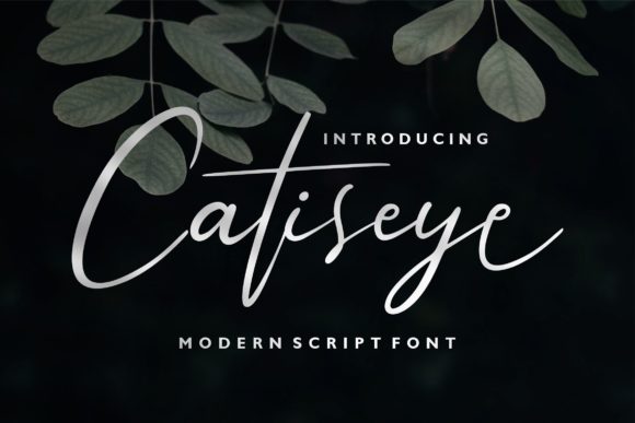 Catiseye Font Poster 1