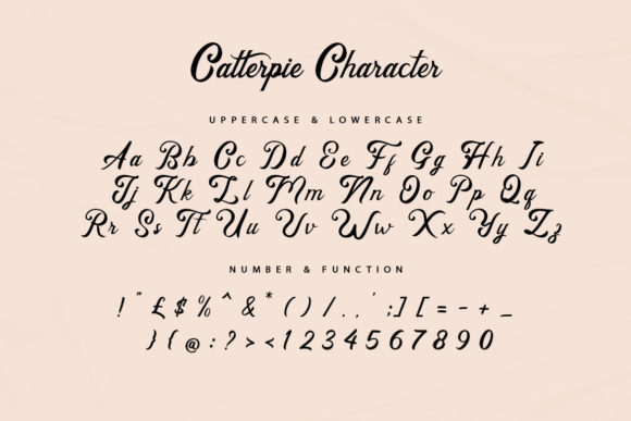 Catterpie Font Poster 8