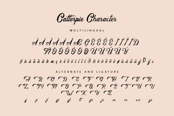 Catterpie Font Poster 9