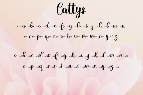 Cattys Font Poster 8