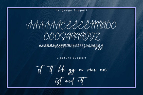 Cecillia Font Poster 9