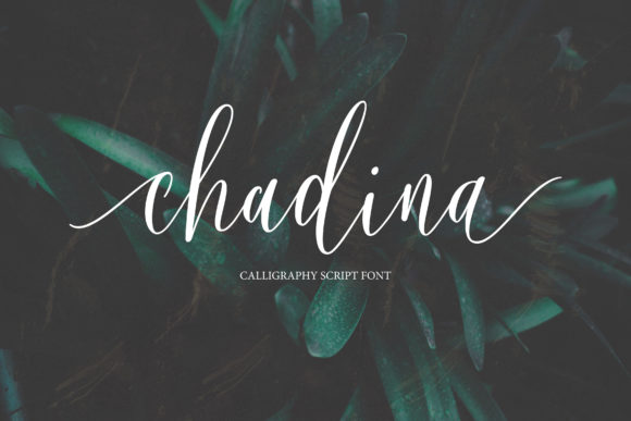 Chadina Script Font