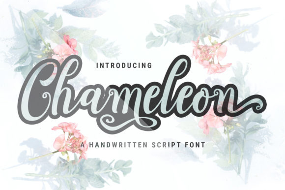Chameleon Script Font Poster 1